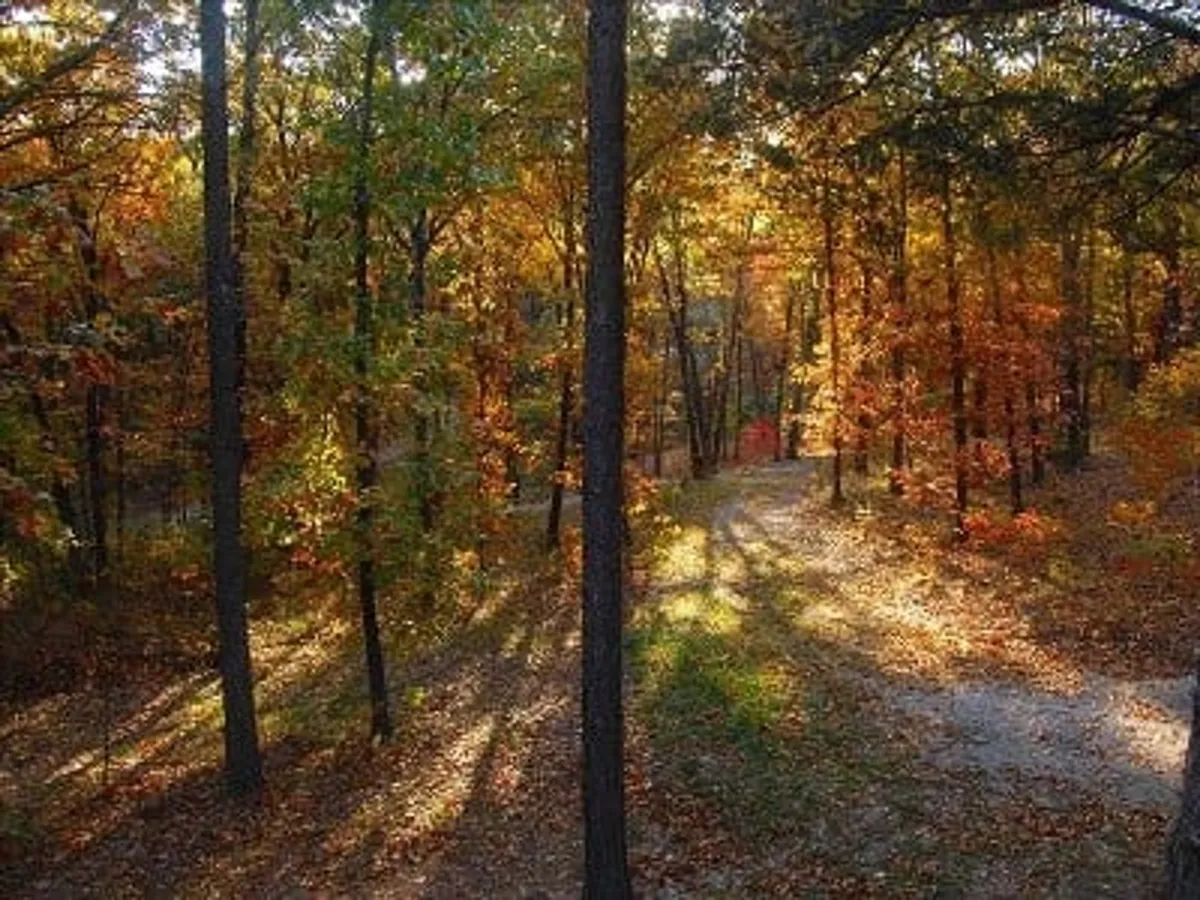 A tranquil, winding dirt path leads through vibrant autumn foliage and tall trees, evoking the serene atmosphere of a private nature retreat. The lush greenery and dappled sunlight invite guests to embark on walks, spot wildlife, and enjoy the peace of secluded woods.
